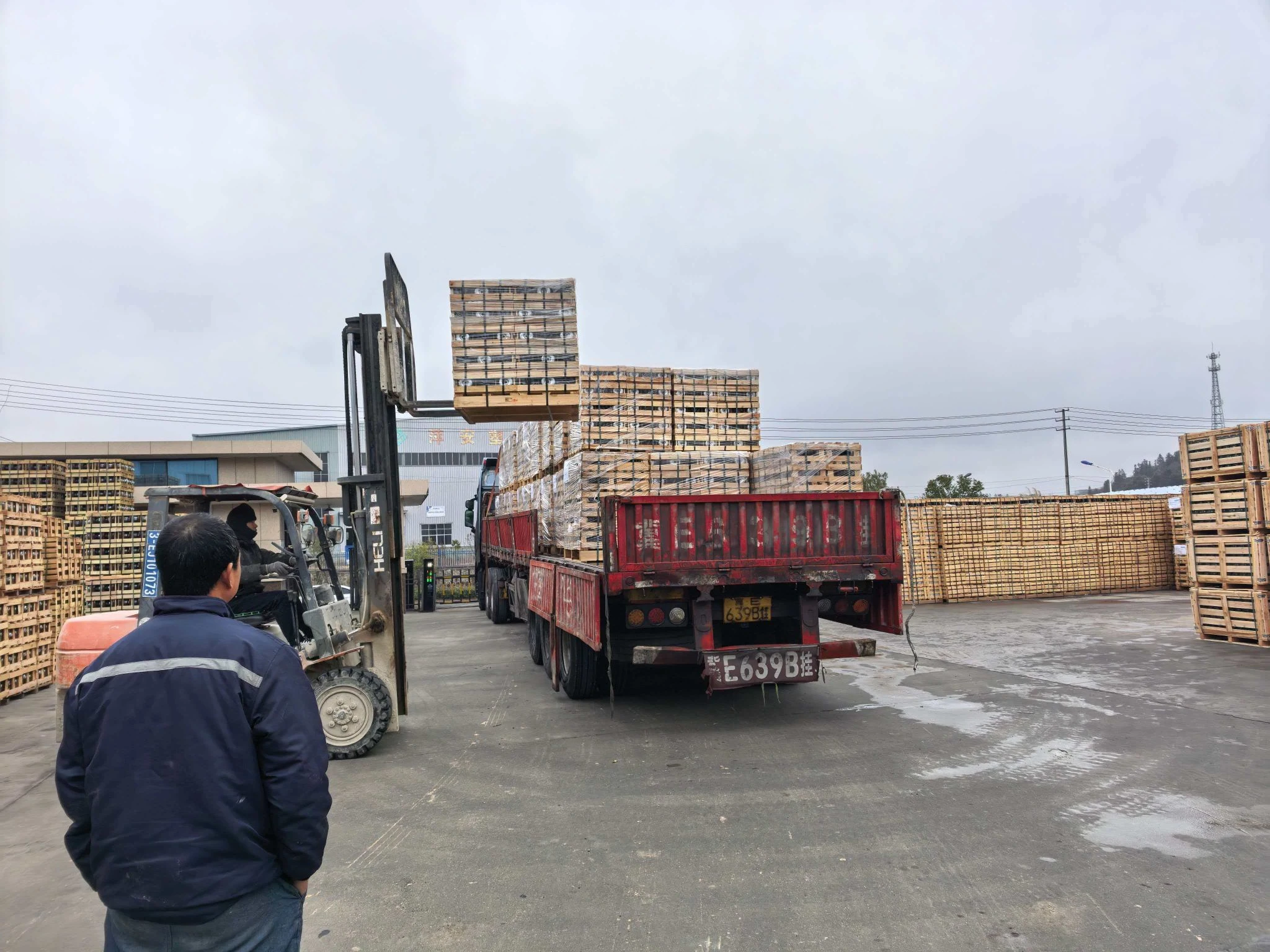Warehouse / packaging / shipping