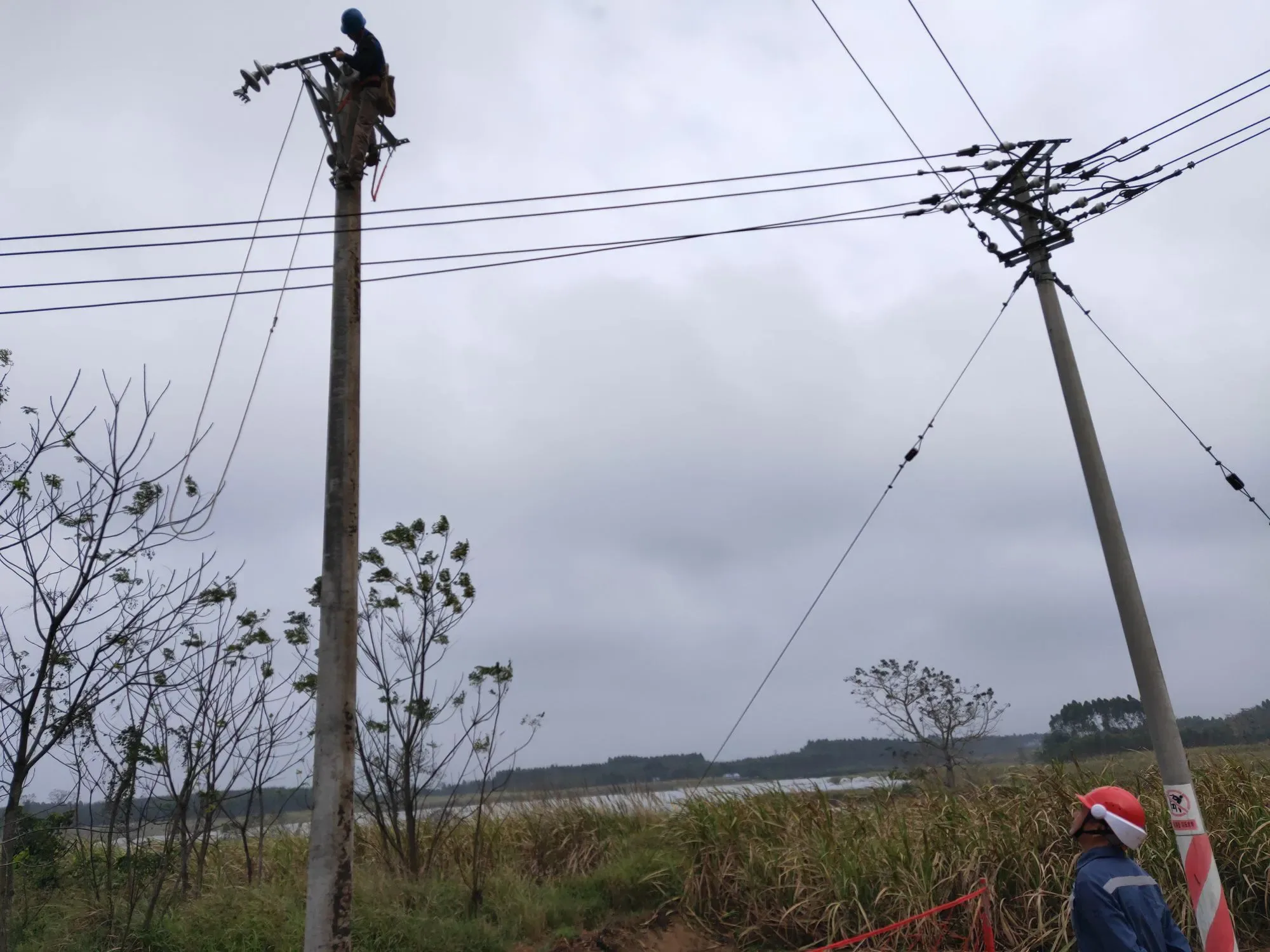 Power transmission project scene