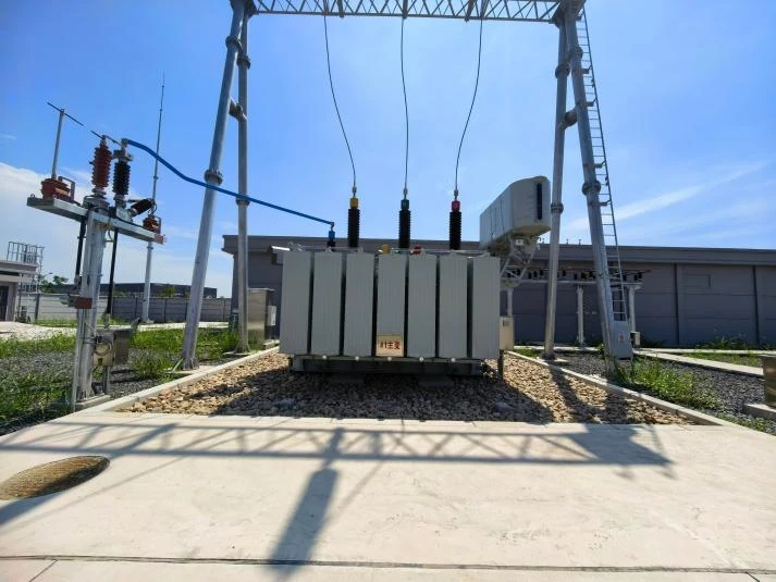 Longshan 110 kV Substation & Lines