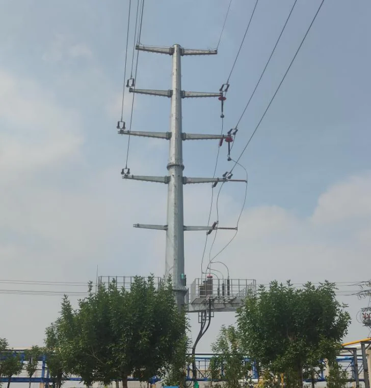 Steel-pole structure and overhead connections