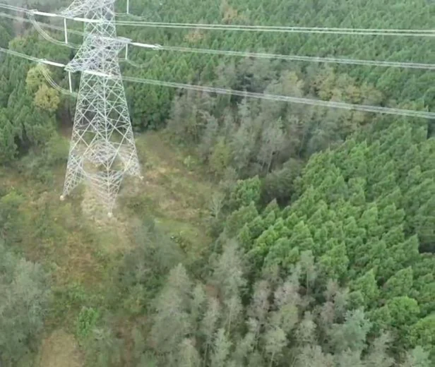 Aerial view of a line tower and its conductors