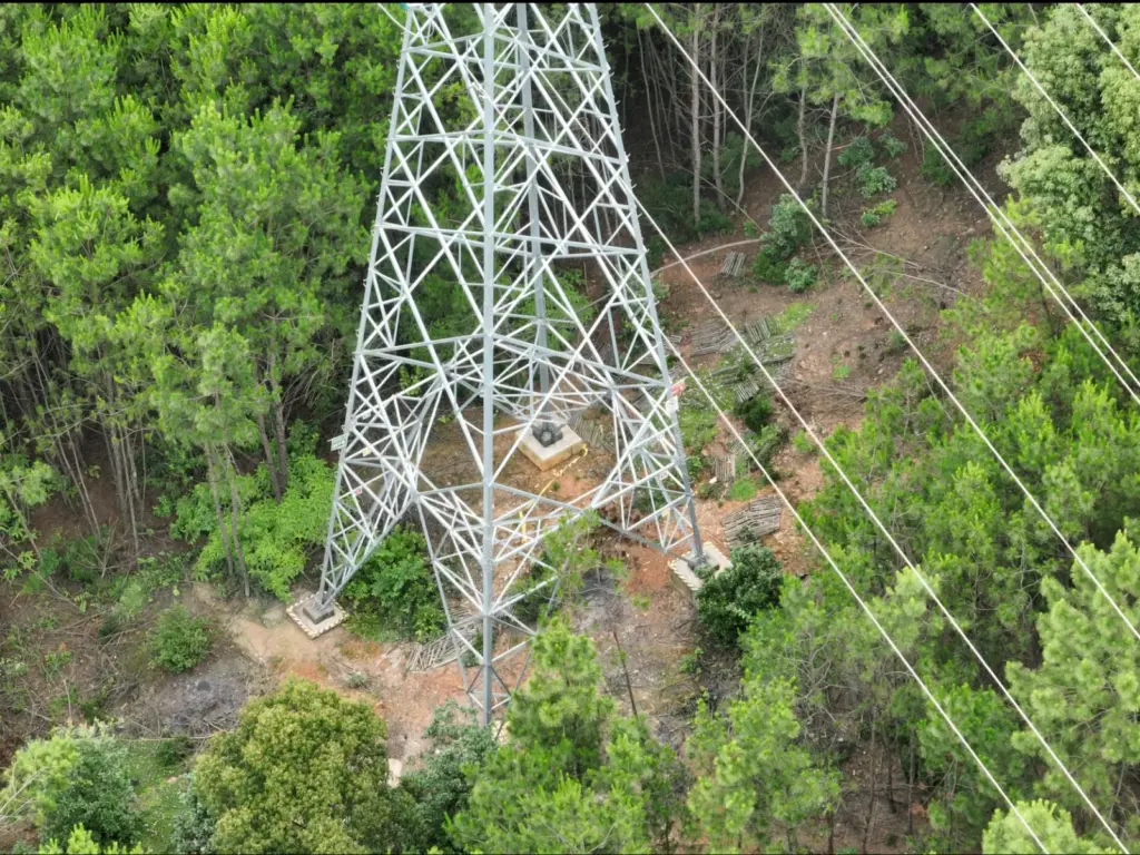 Yufu line tower at the woodland edge